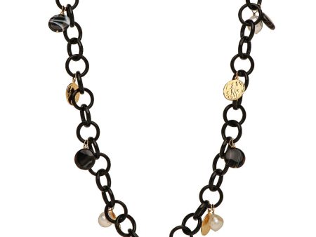 Black Horn Link Necklace with Coin Charms For Sale