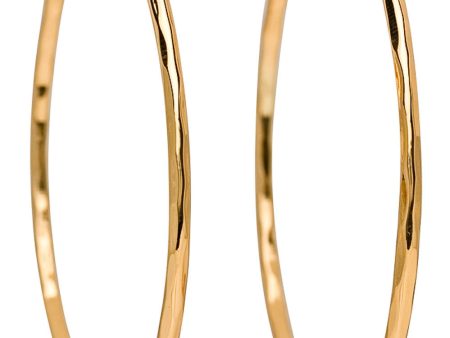 Hammered Gold Skinny Hoops Online Sale