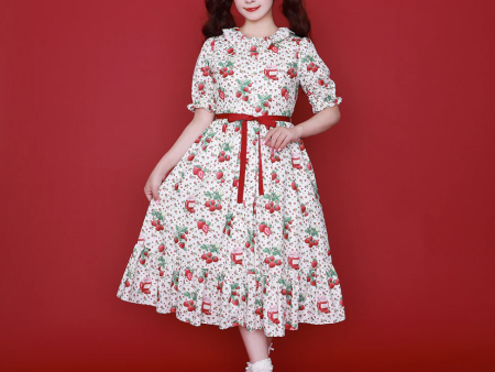 Strawberry Jam Front Button Dress Sale