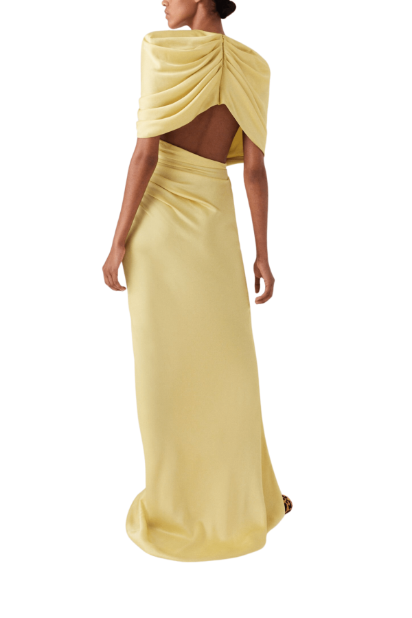 Stella McCartney Draped Cape Gown For Cheap