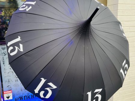 13 Umbrella For Cheap